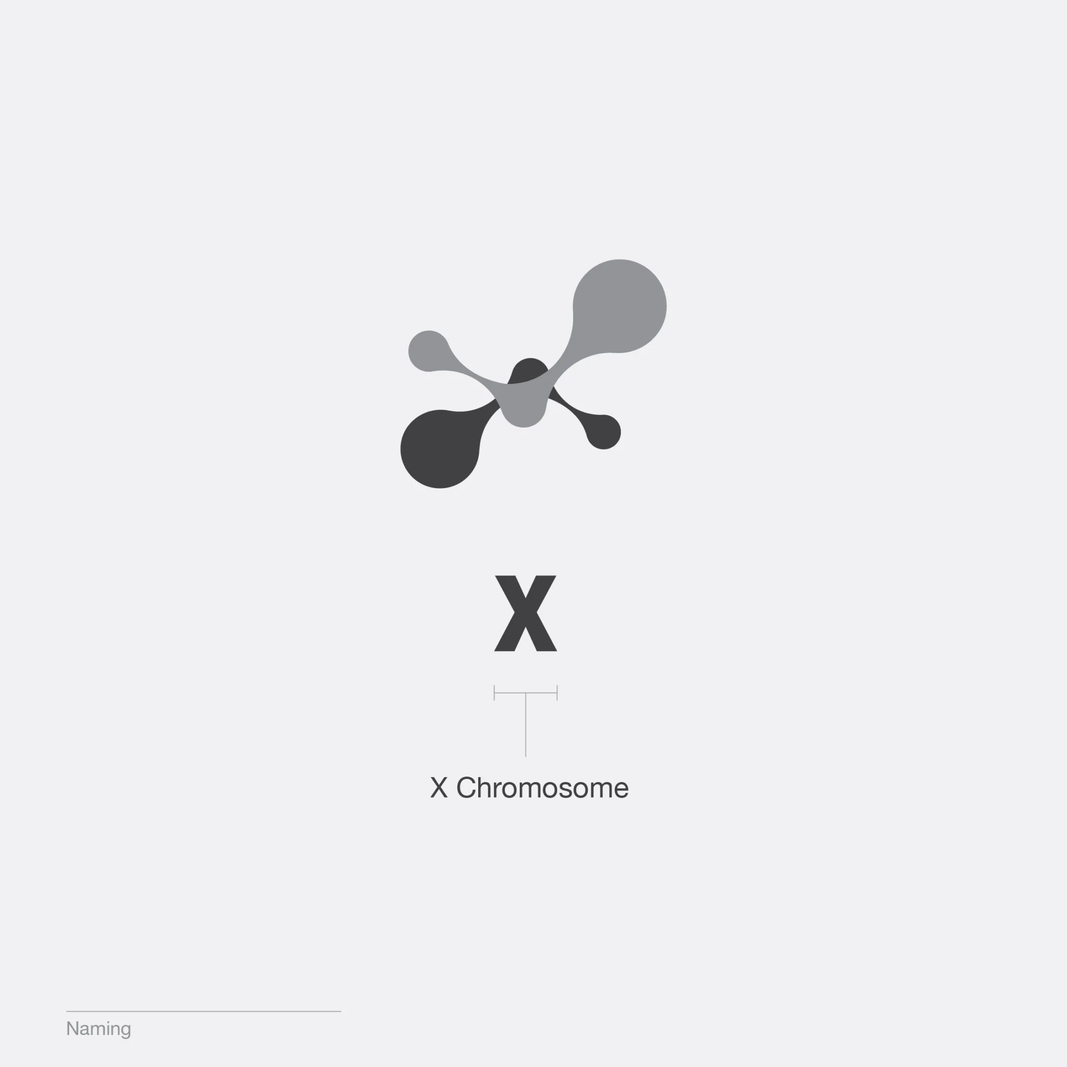 Biotex