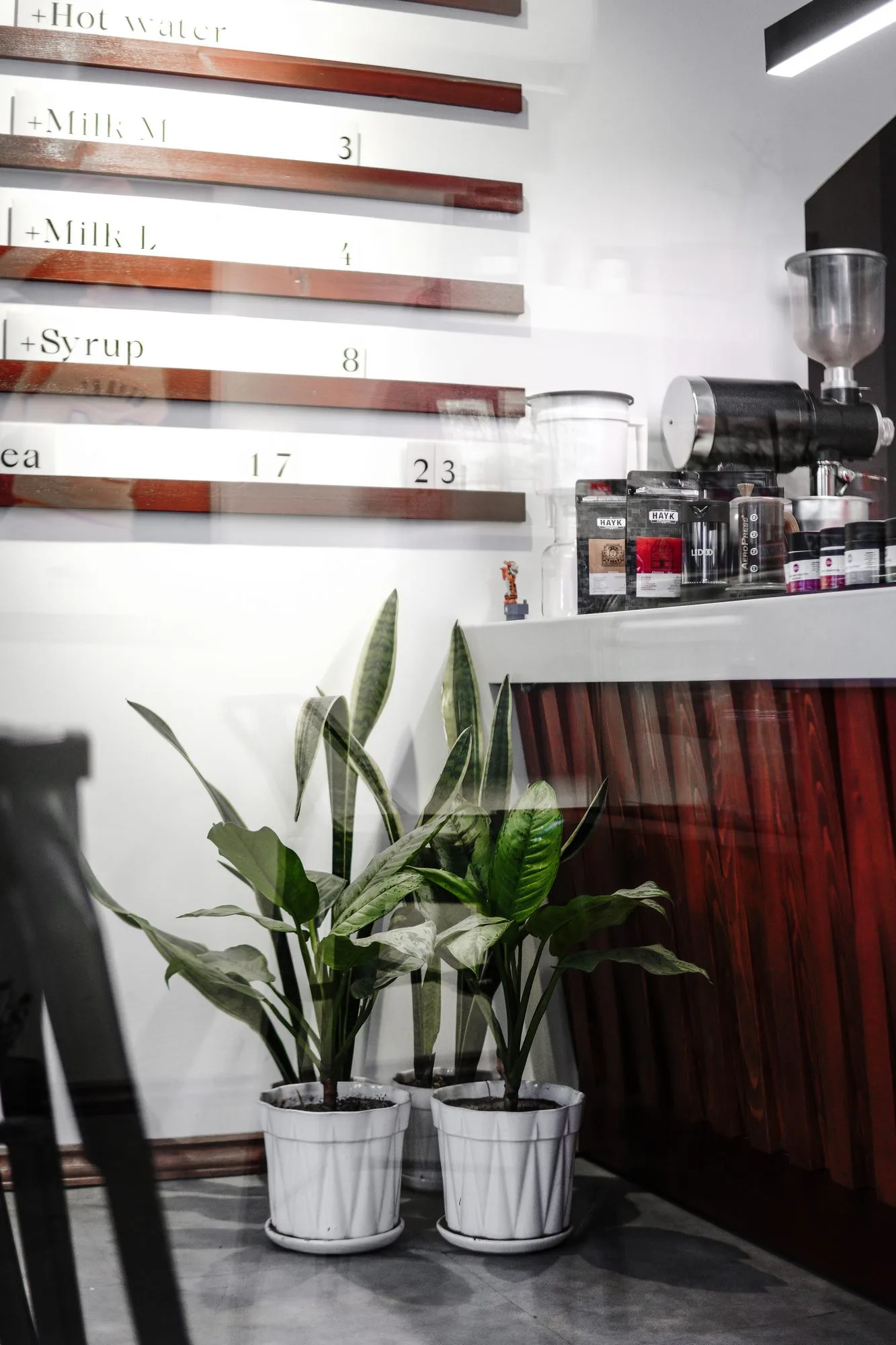 Hayk Coffee Roastery