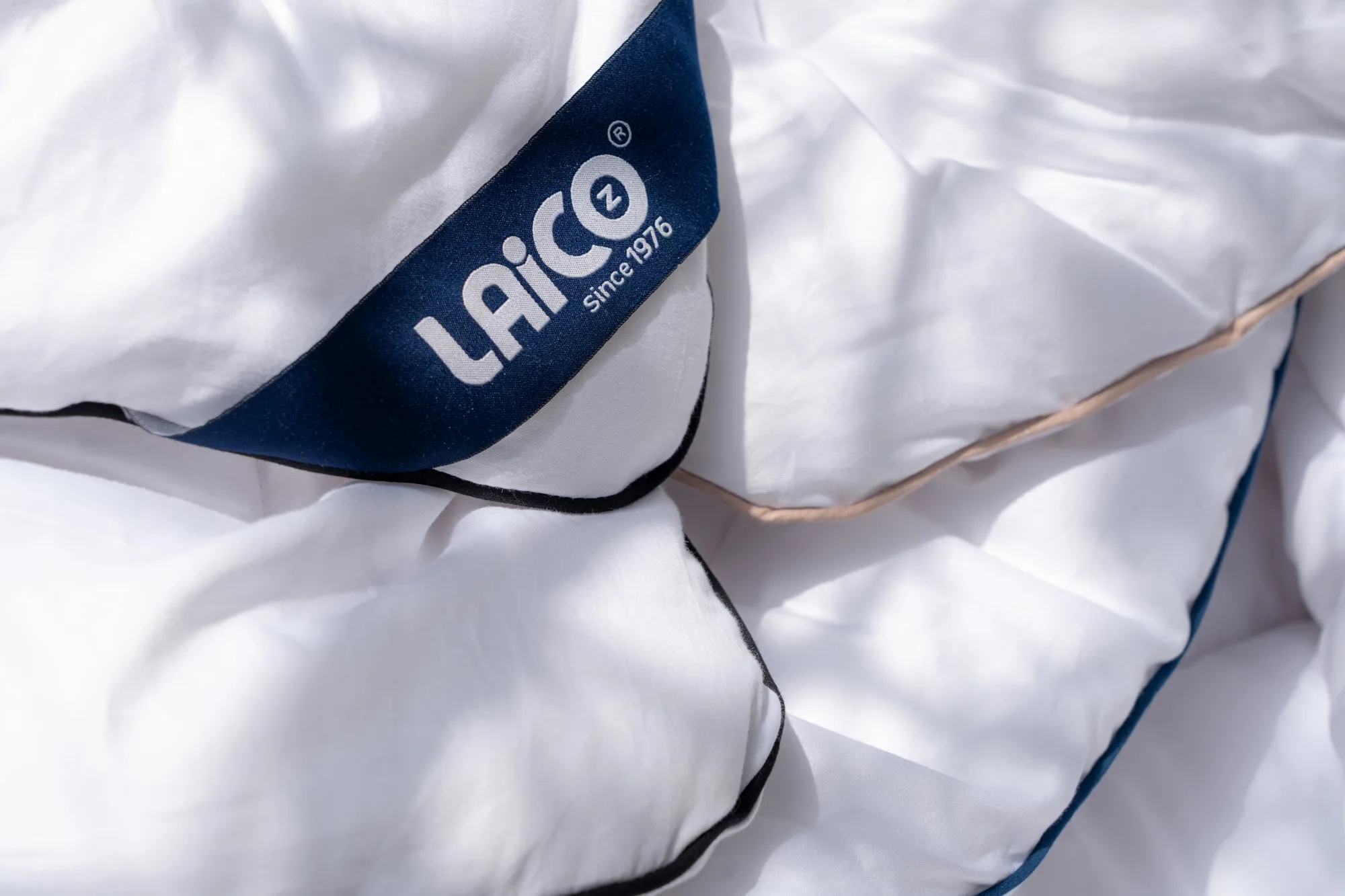 Laico — cover