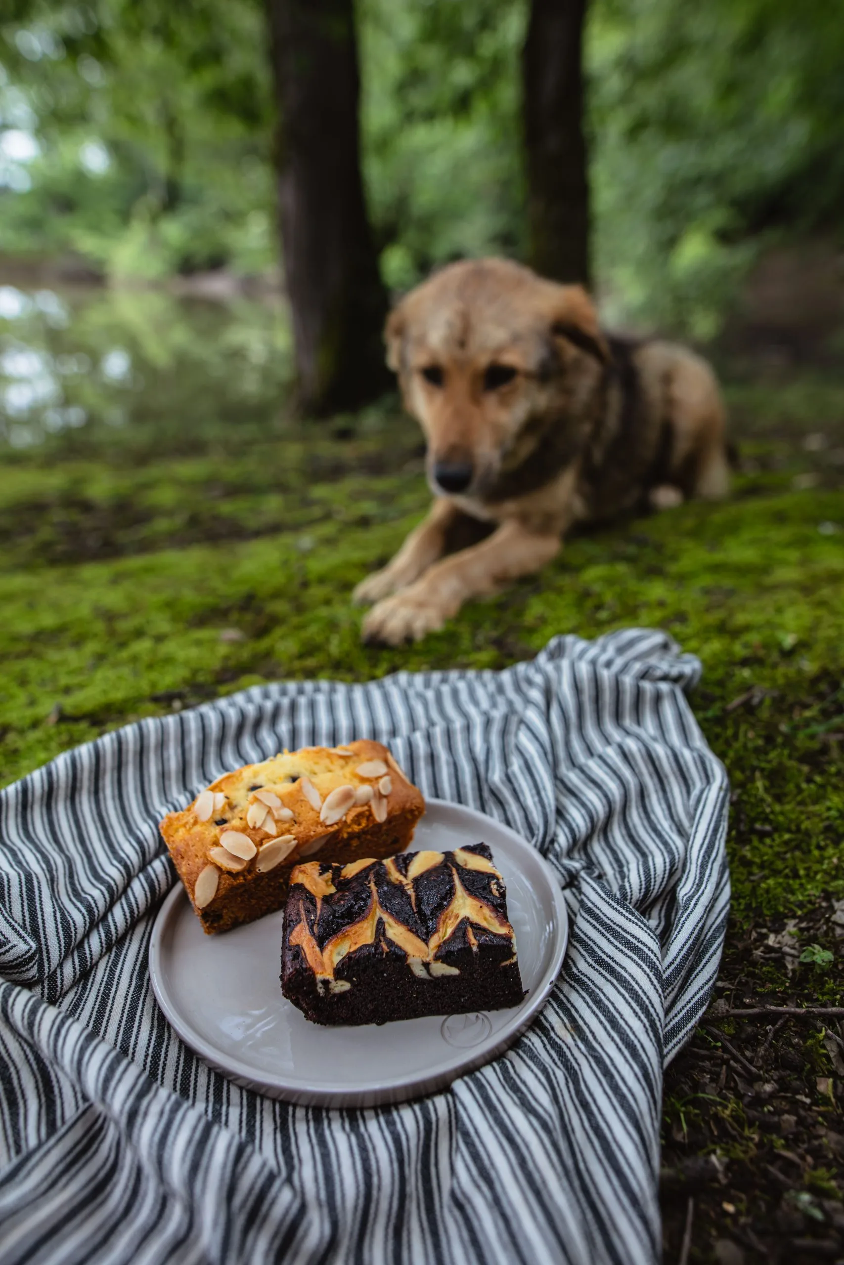 Lupa Bakery