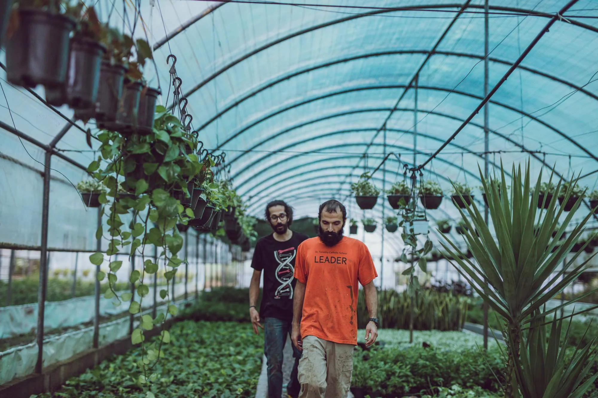 Nabat Greenhouse