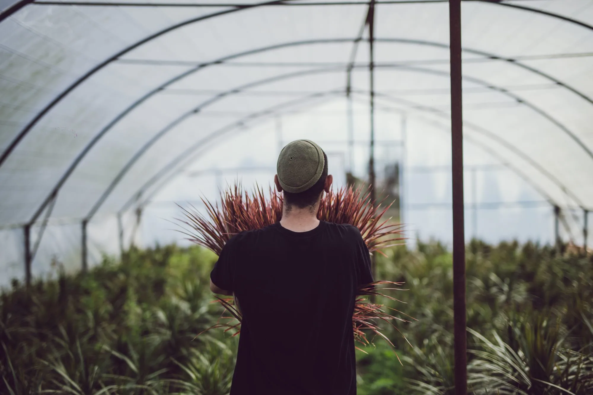 Nabat Greenhouse