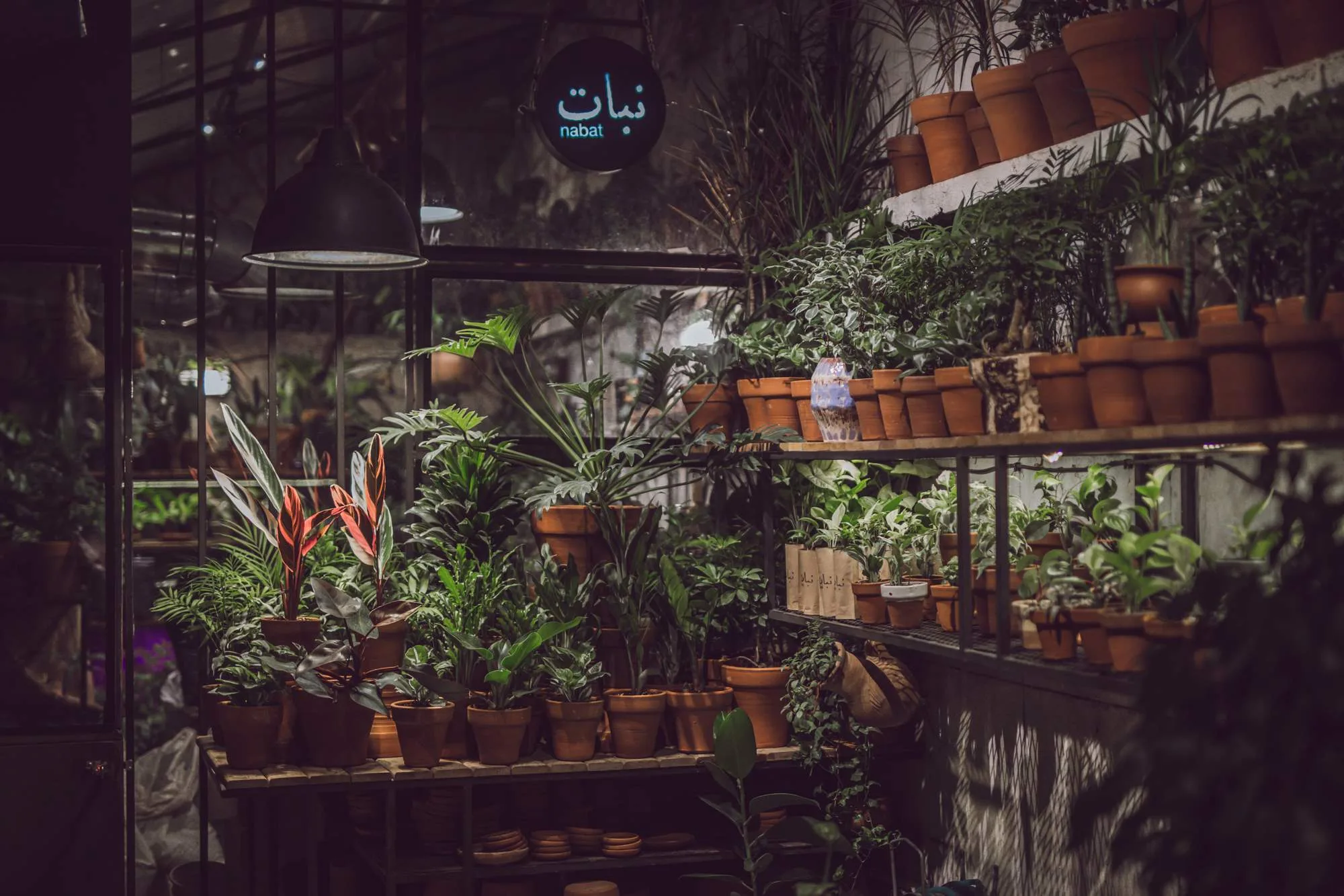 Nabat Greenhouse