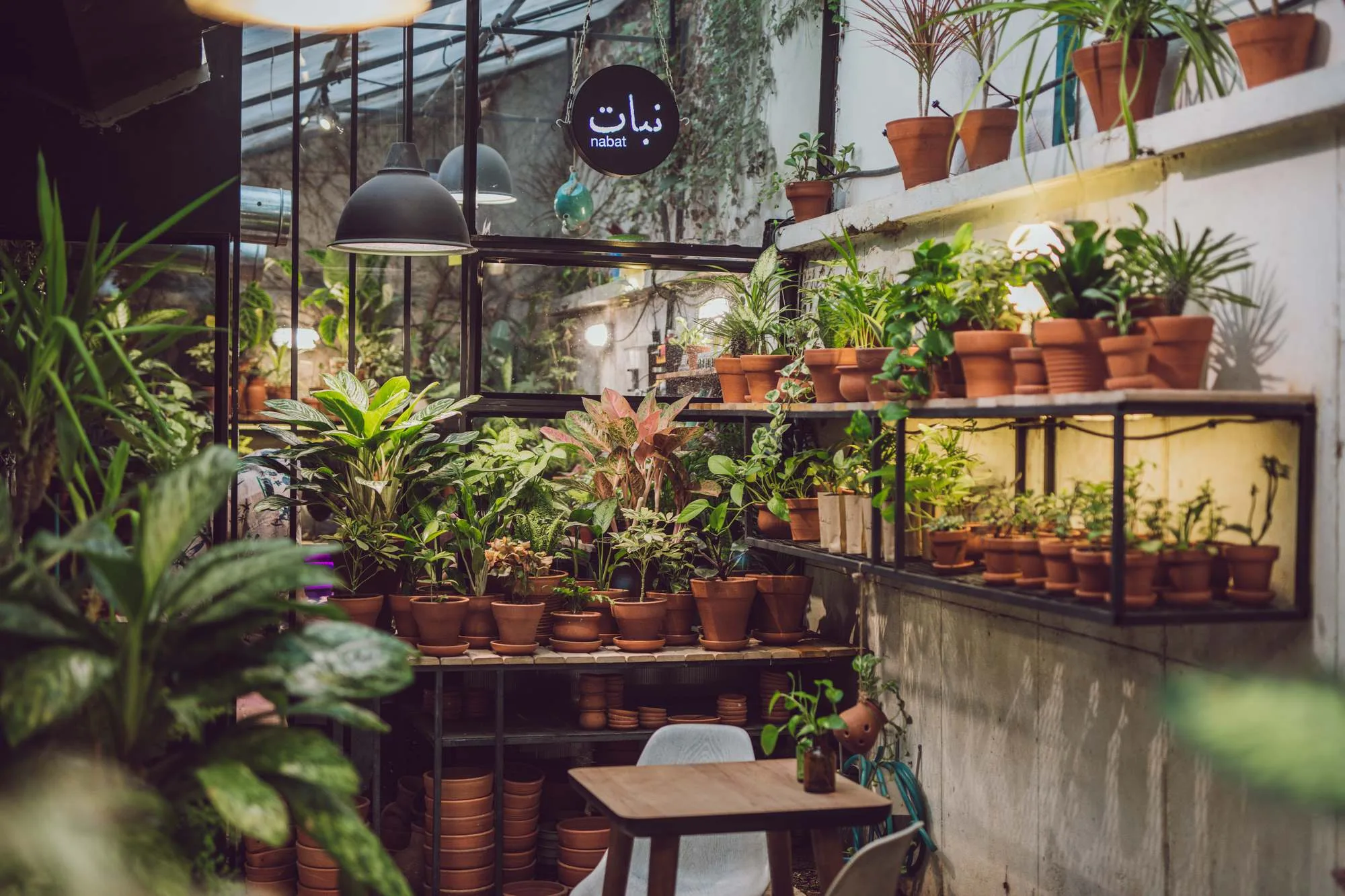 Nabat Greenhouse