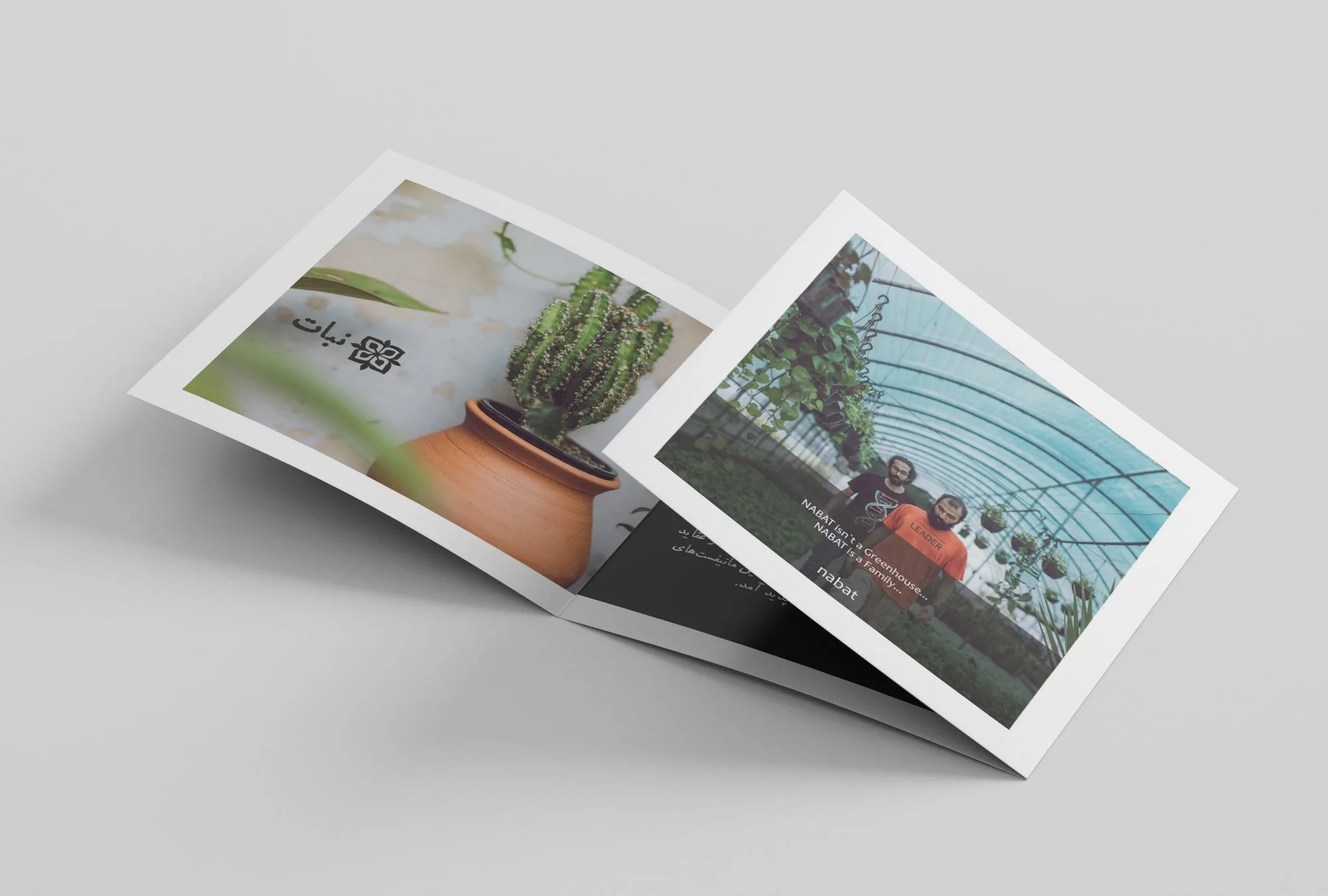 Nabat Greenhouse