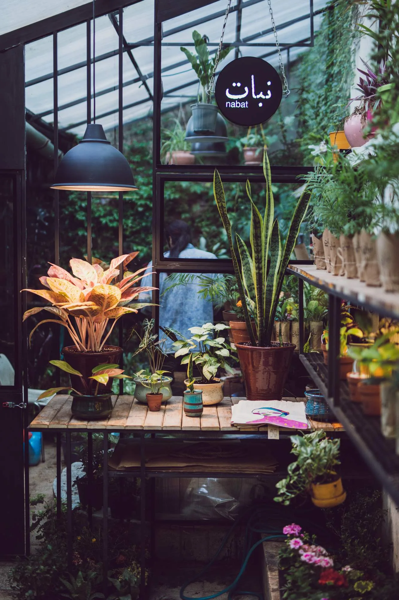 Nabat Greenhouse