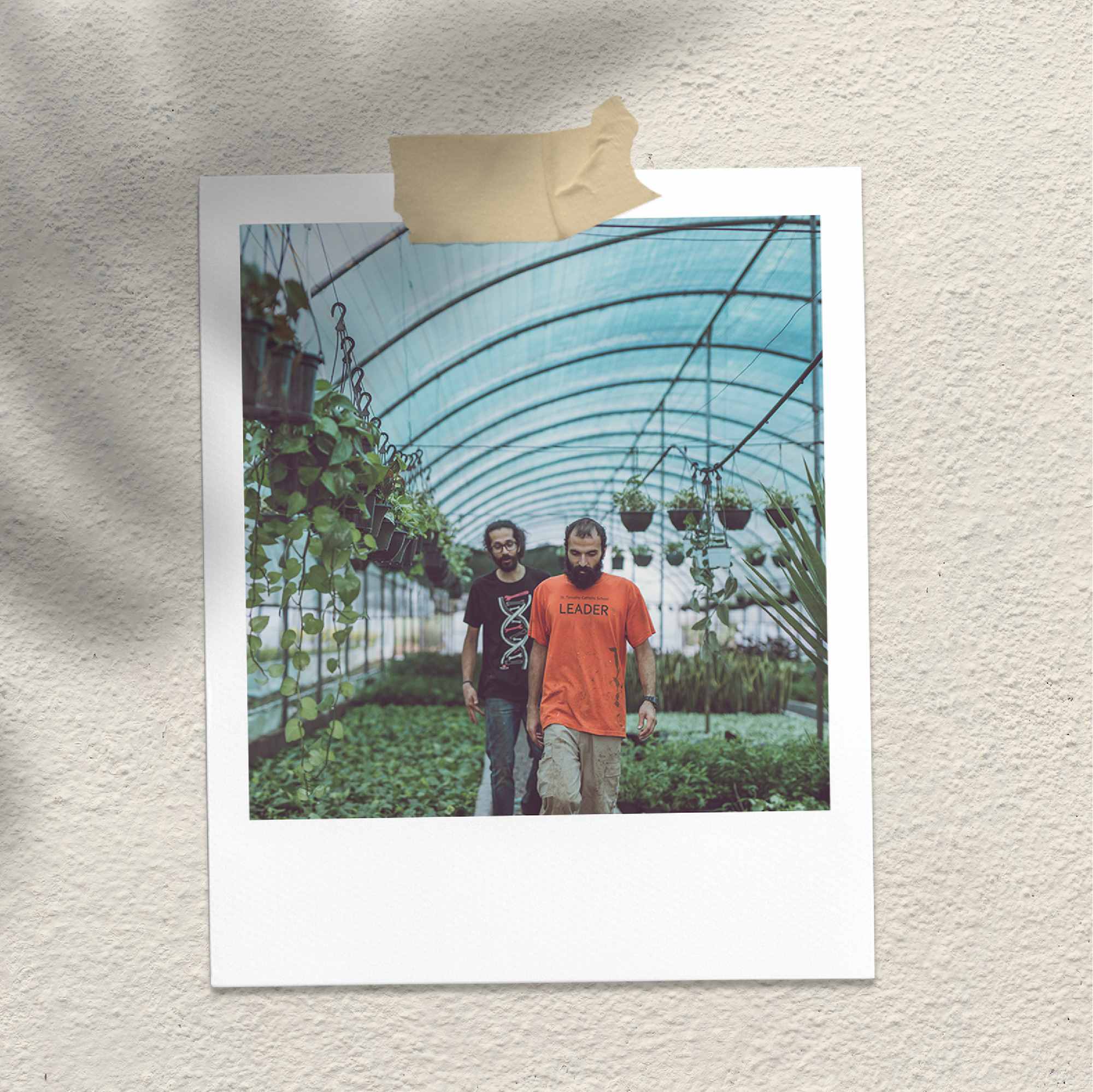 Nabat Greenhouse