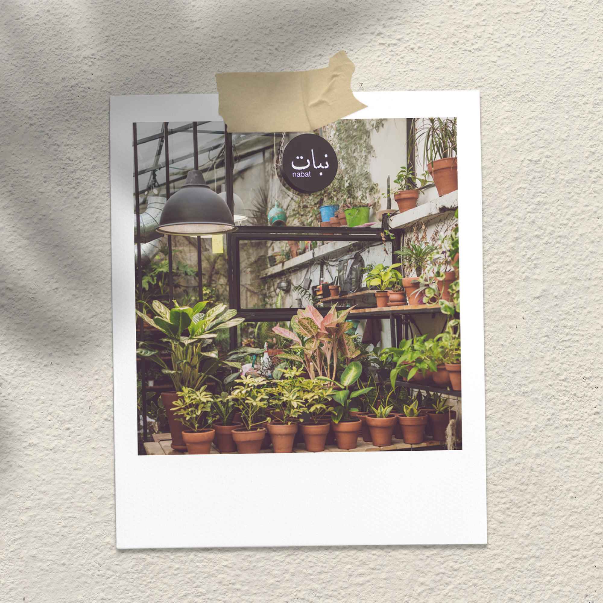 Nabat Greenhouse