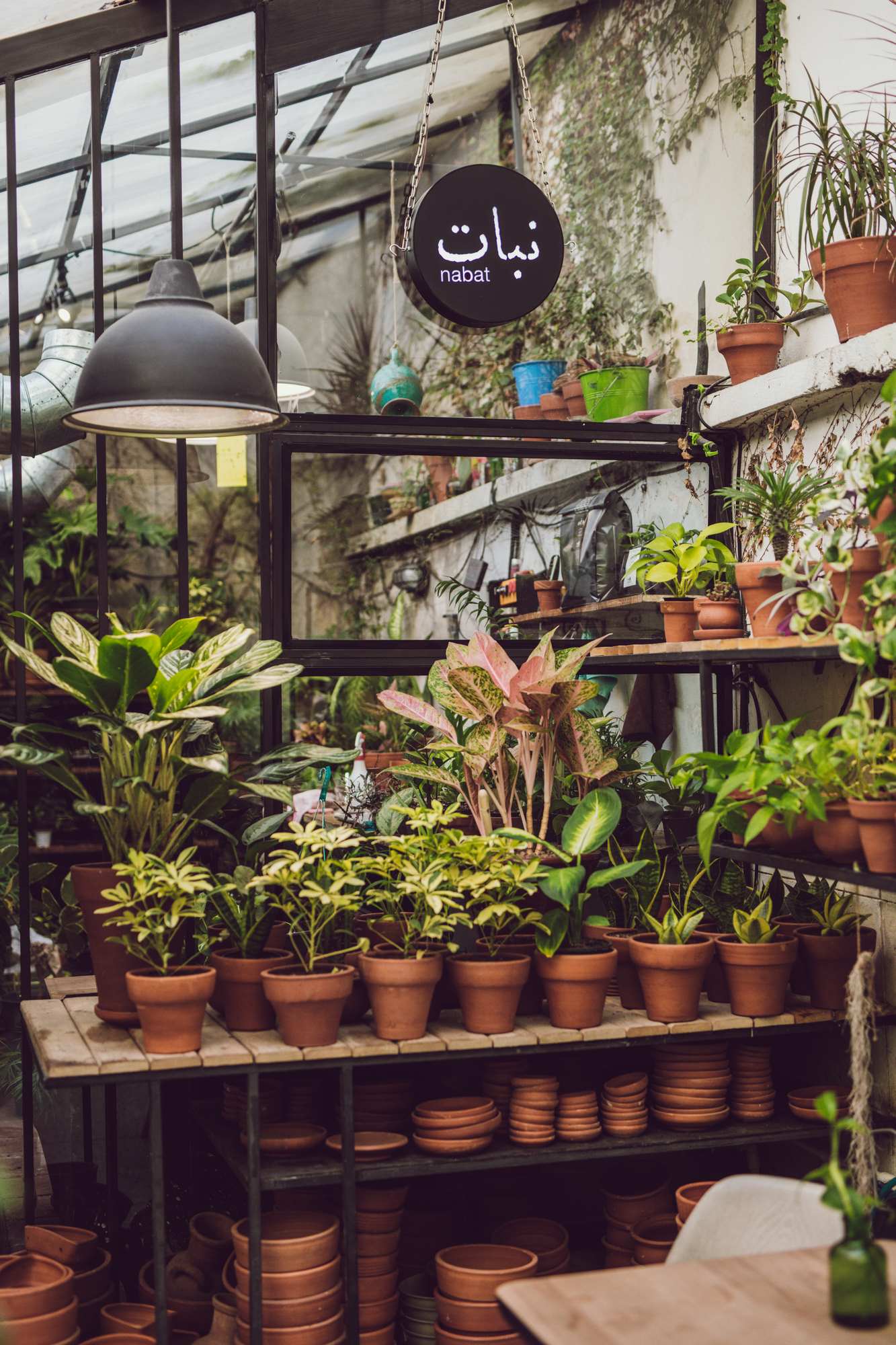 Nabat Greenhouse — cover