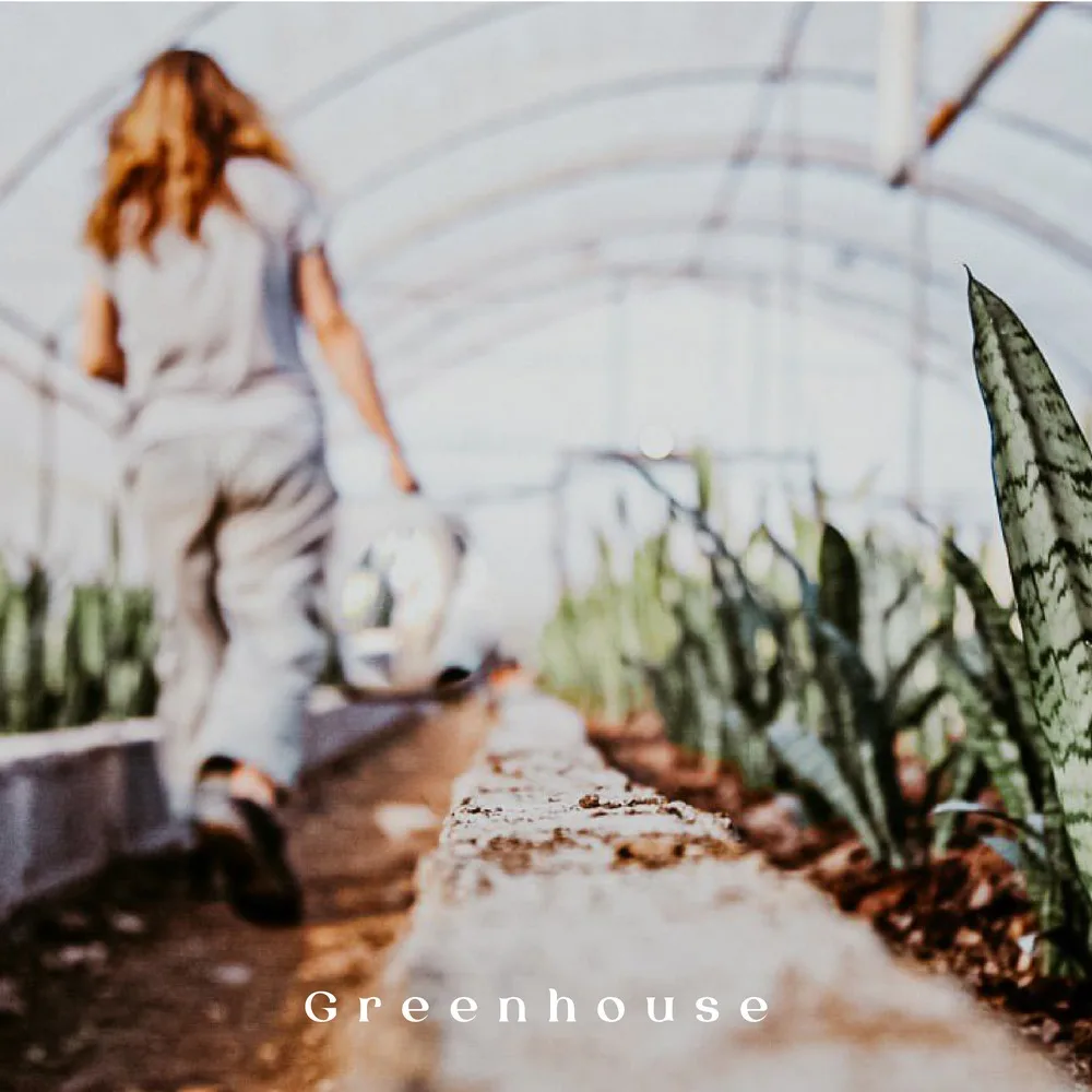 Rost Greenhouse