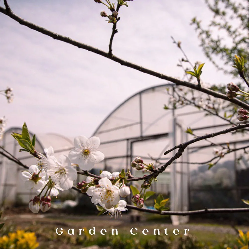 Rost Greenhouse