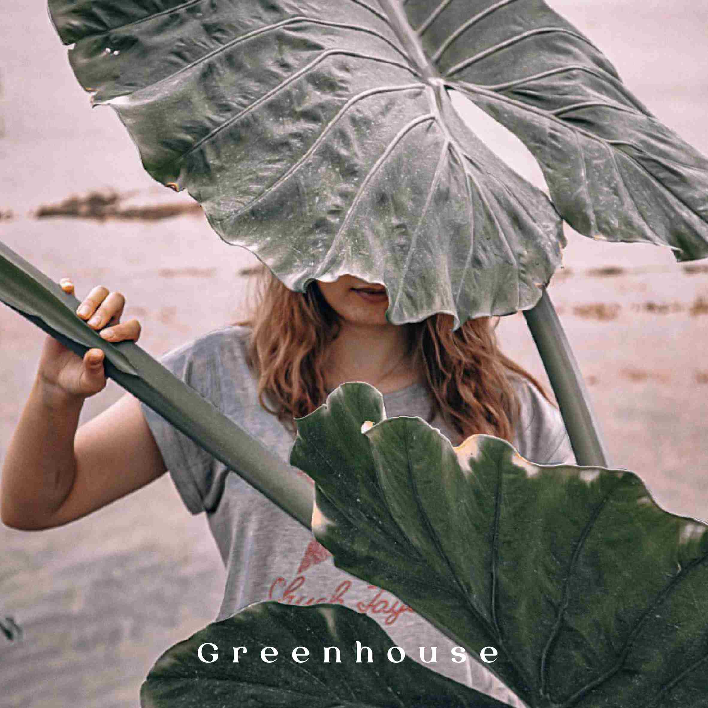 Rost Greenhouse — cover